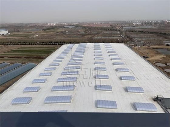 山東側(cè)開式圓拱型采光排煙天窗